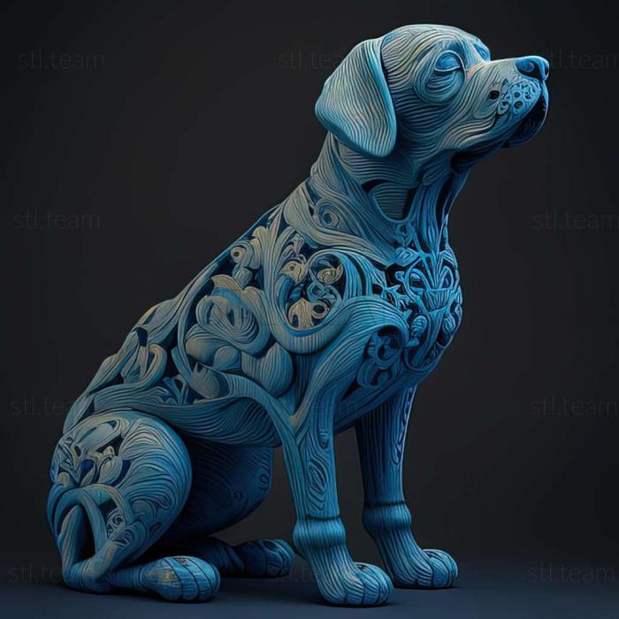 Blue Lacey dog